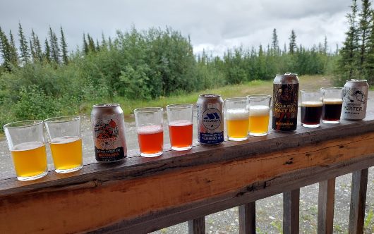 glasses with Alaska craft beers for tasting