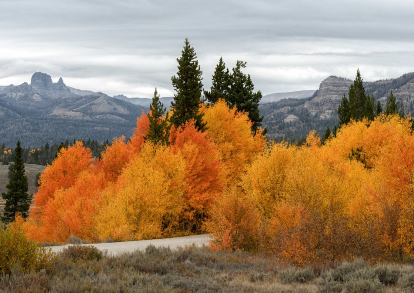 autumn colors in fremont county