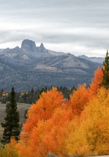 photo from Autumn in Wyoming Bike Tour