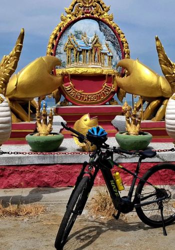 photo from Ride to Koh Samui eBike Tour