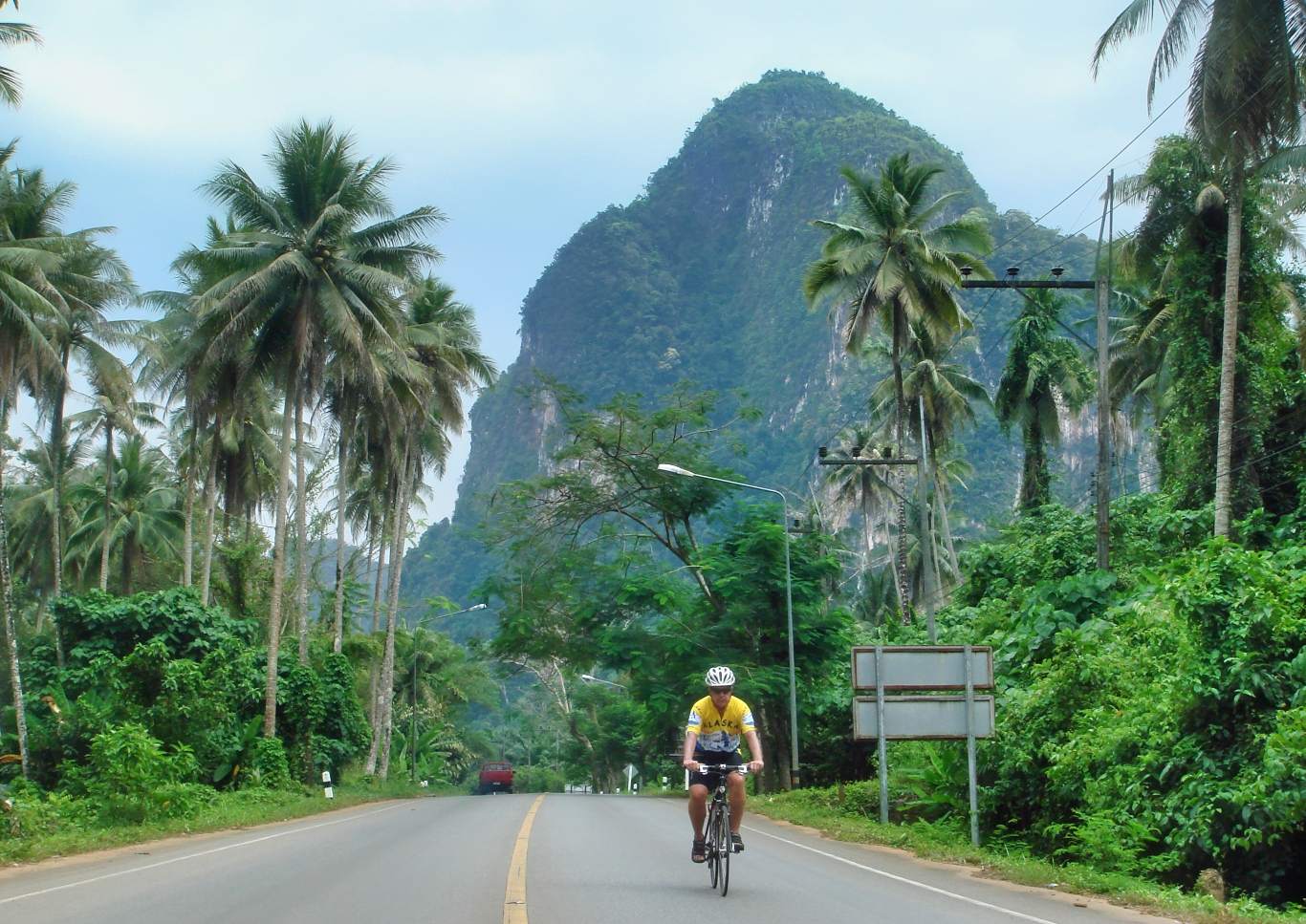 cycling past palms in southern Thailand