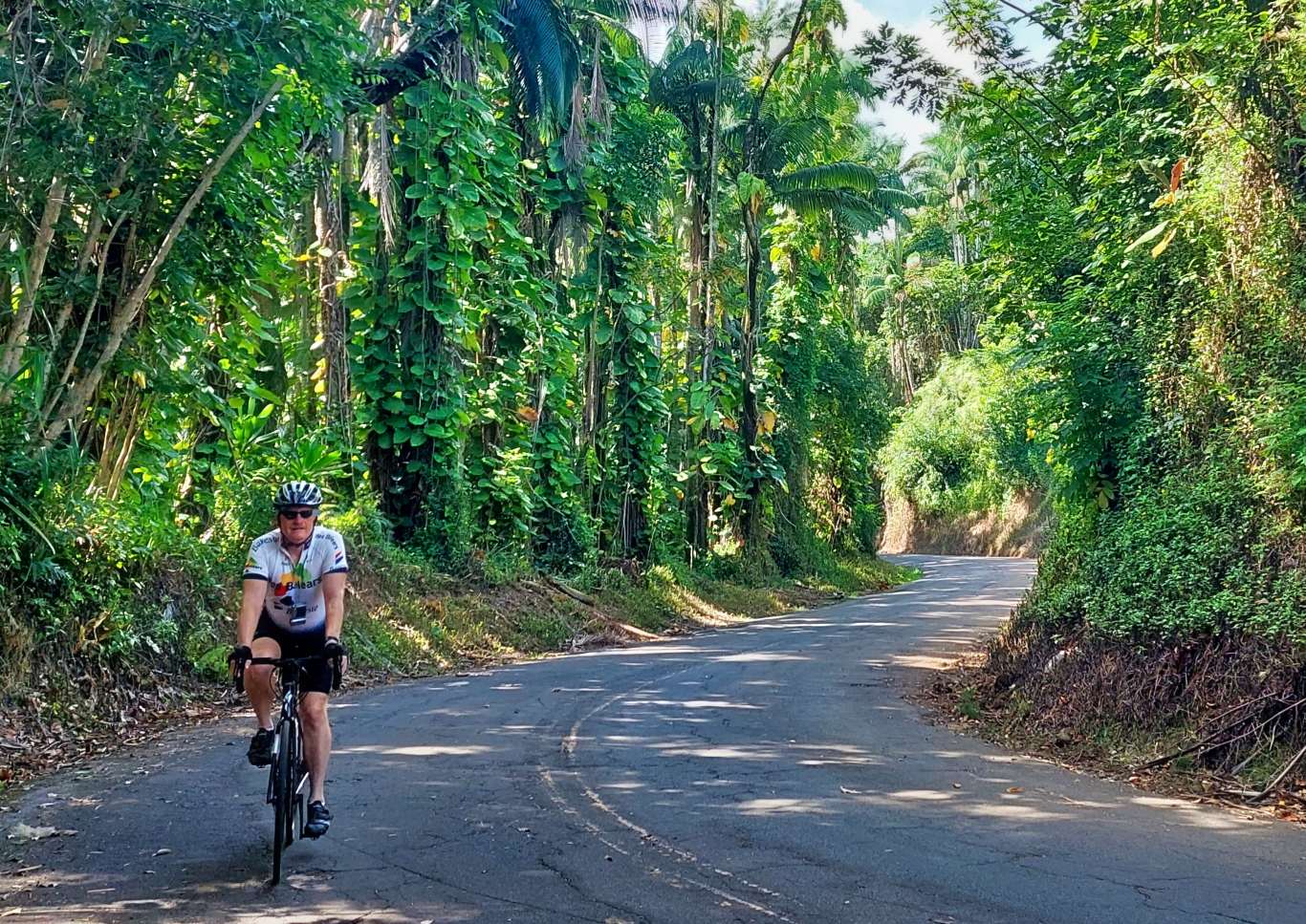 Bicycling Old Mamalahoa HIghway Hawaii