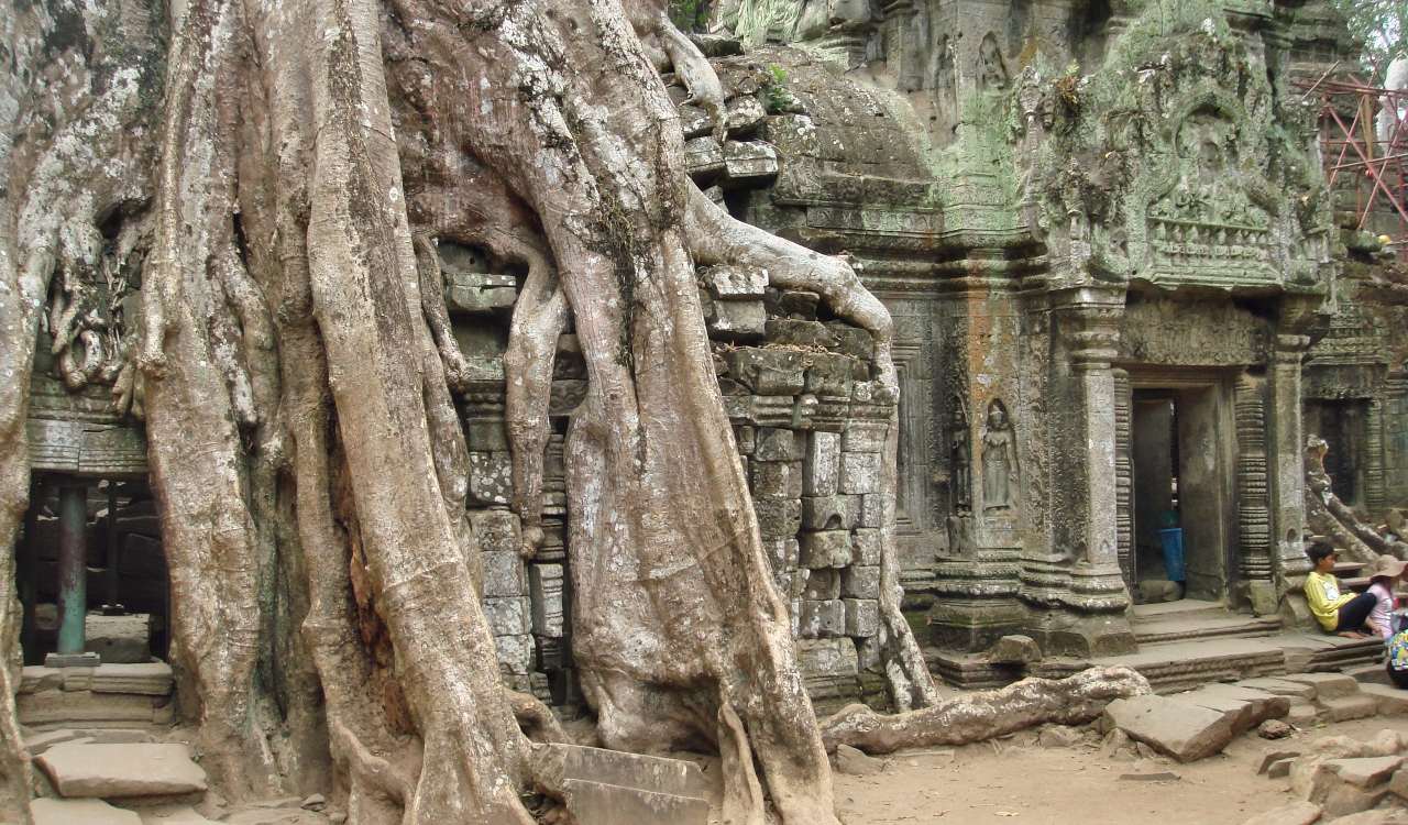 temple ruins in angkor wat
