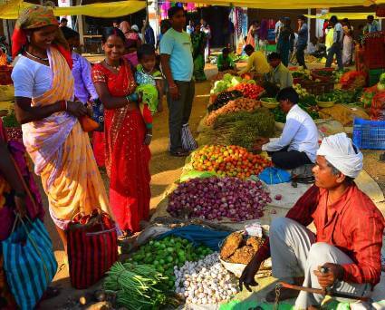 photo from Madhya Pradesh