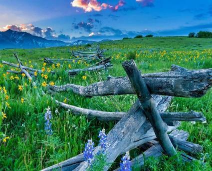 photo from Cycling The Real Wyoming