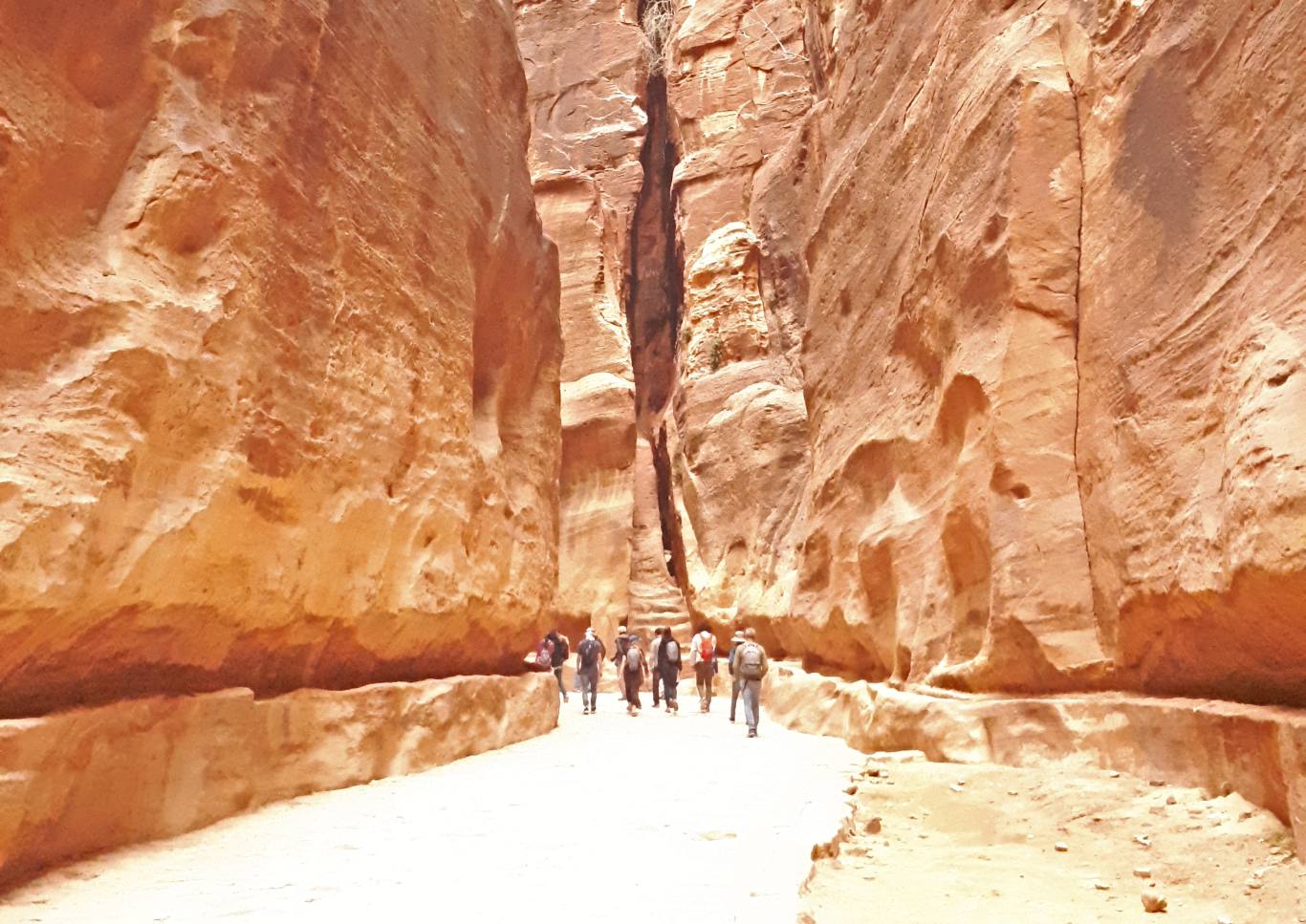 tour group walking into Petra canyon