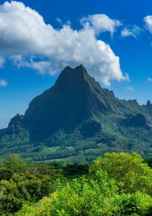 Moorea island viewed from overlook on bike tour