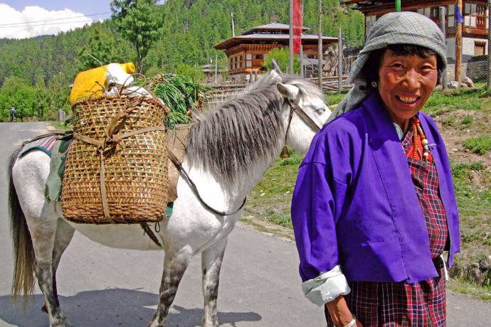 lady in local dress with donkey along road