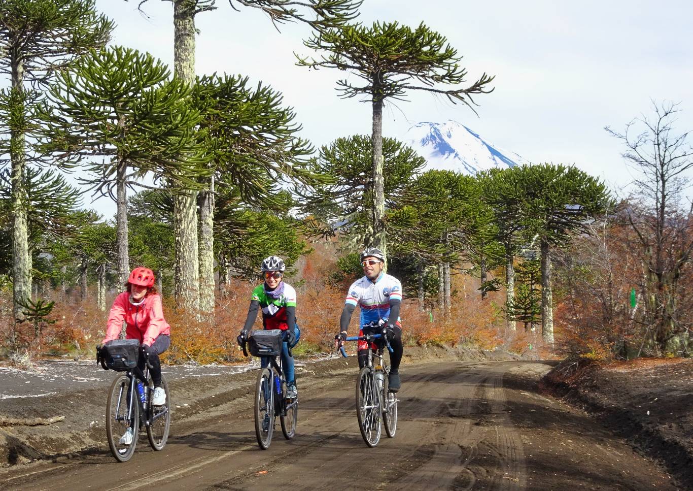 Cyclists on gravel road in national park