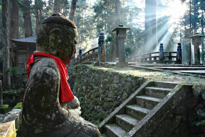 sun shining on shinto shrine in forest
